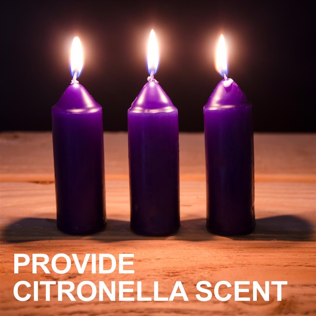 UCO Citronella Candles 3-Pack
