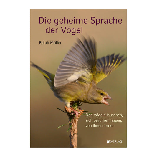 The Secret Language of Birds